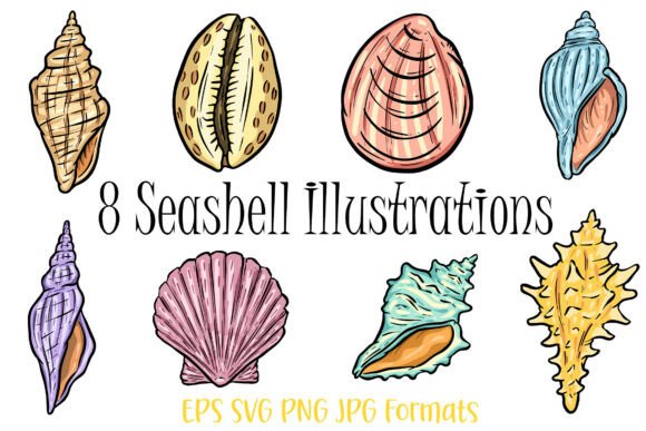 Bring Coastal Charm to Life with Vibrant Shell Art