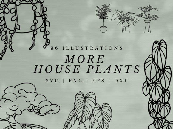 Bring Nature Indoors with More House Plants SVG Illustrations
