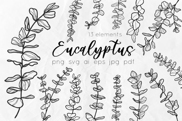 Eucalyptus Line Art SVG: Fresh Botanicals for Your Designs