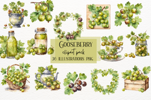 Gooseberry Fruit Illustrations: A Watercolor Collection for Designers