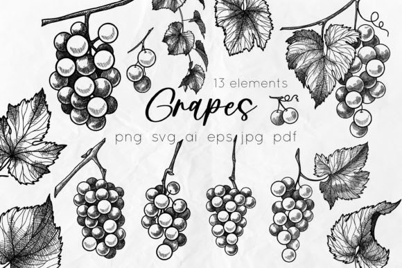 Grapes Line Art SVG Illustrations: Fresh Vector Graphics for Creative Projects