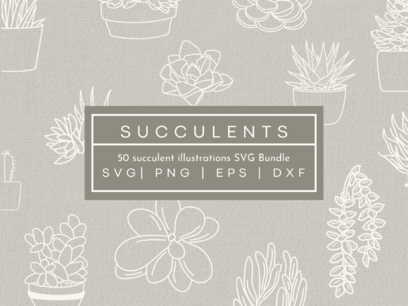 Stunning Succulent SVG Illustrations for Modern Projects